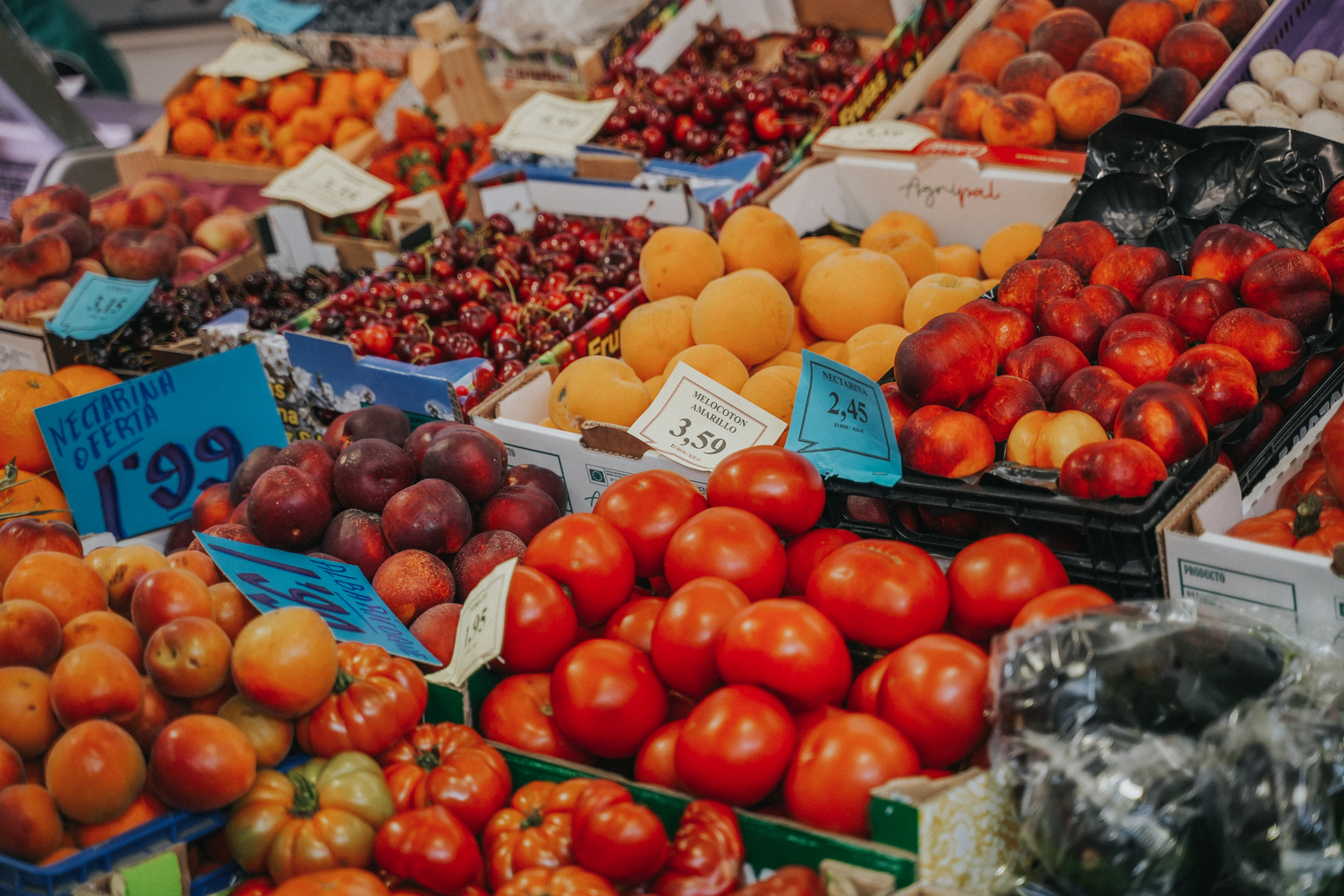 Verduras y frutas